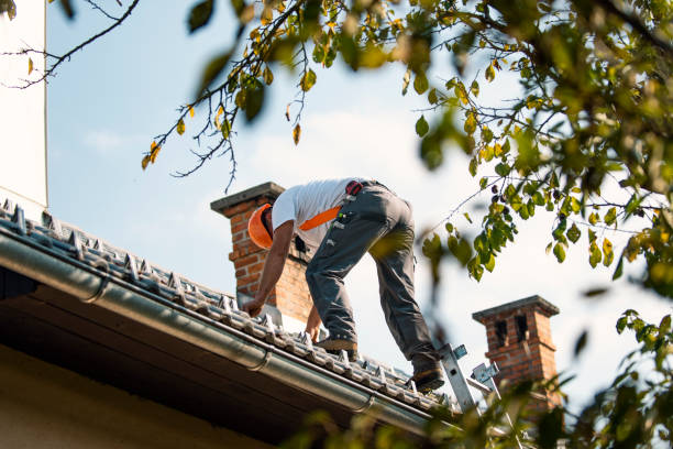 Best Residential Roofing Contractor  in Holly Springs, MS