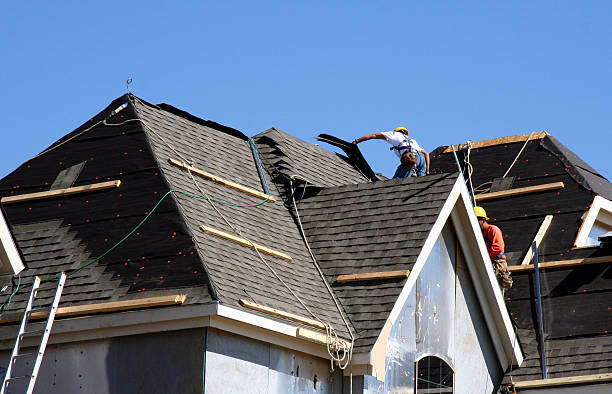 Best Roof Maintenance Services  in Holly Springs, MS