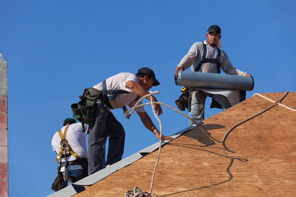 Best Shingle Roofing Installation  in Holly Springs, MS