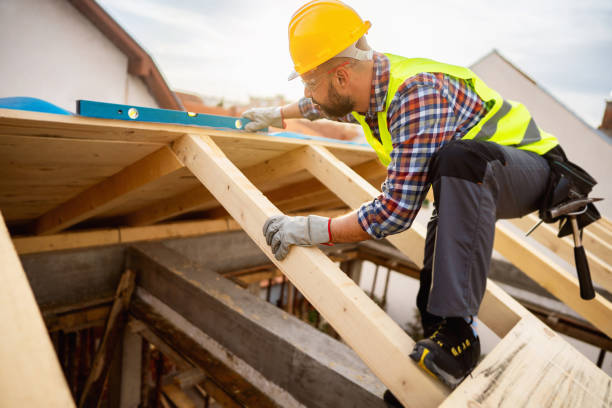 Best Roof Repair Services  in Holly Springs, MS
