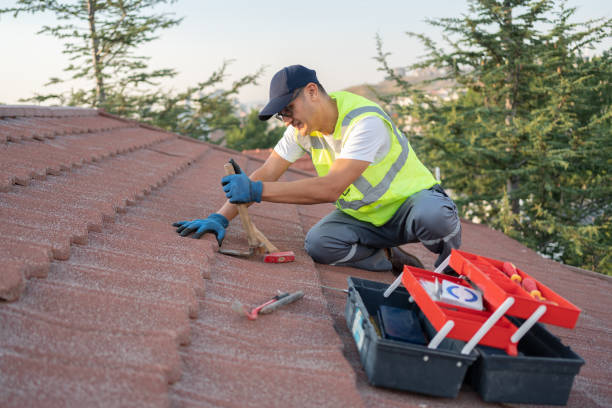 Best Metal Roofing Contractor  in Holly Springs, MS